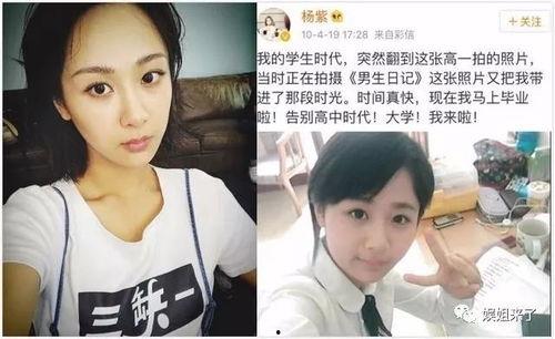 张明星博客,揭秘明星幕后故事与心路历程