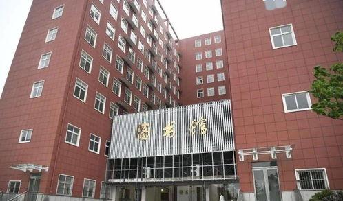 今日头条三农行业感悟,共绘乡村振兴新画卷