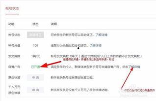 头条怎么修改加入广告,如何巧妙融入广告内容，提升阅读体验