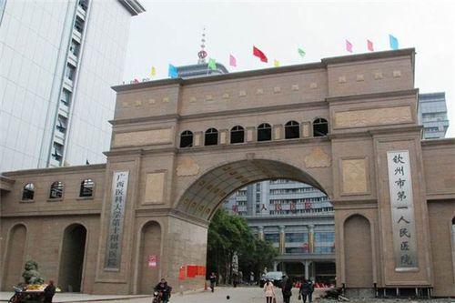 广西钦州市网红公司排名,盘点本土网红势力崛起之路