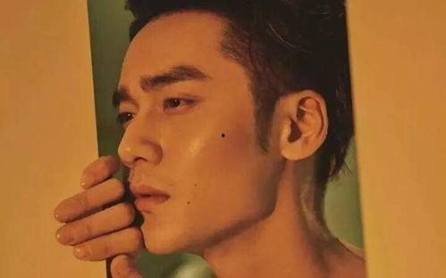 娱乐吃瓜最新事件怎么看