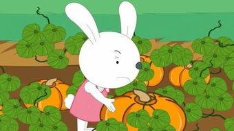 娱乐吃瓜小兔子小说,小兔子吃瓜记